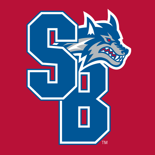 Stony Brook Seawolves 2008-Pres Alternate Logo v4 iron on transfers for fabric